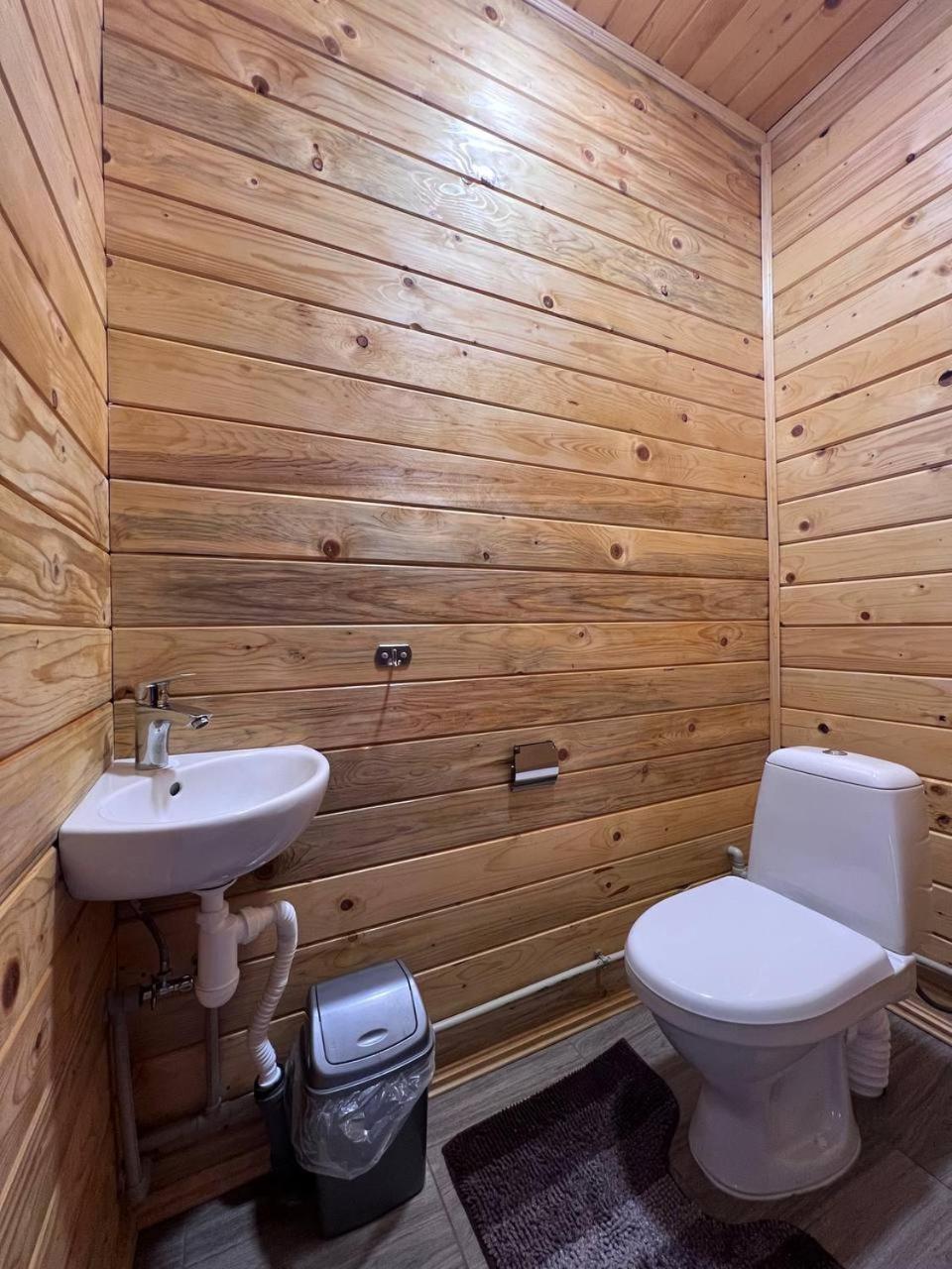 Villa Анничка à Khorotseve Extérieur photo